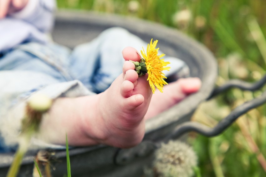 Babyfoto Düsseldorf Blume Babyfotograf Düsseldorf
